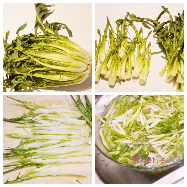 prepara puntarelle